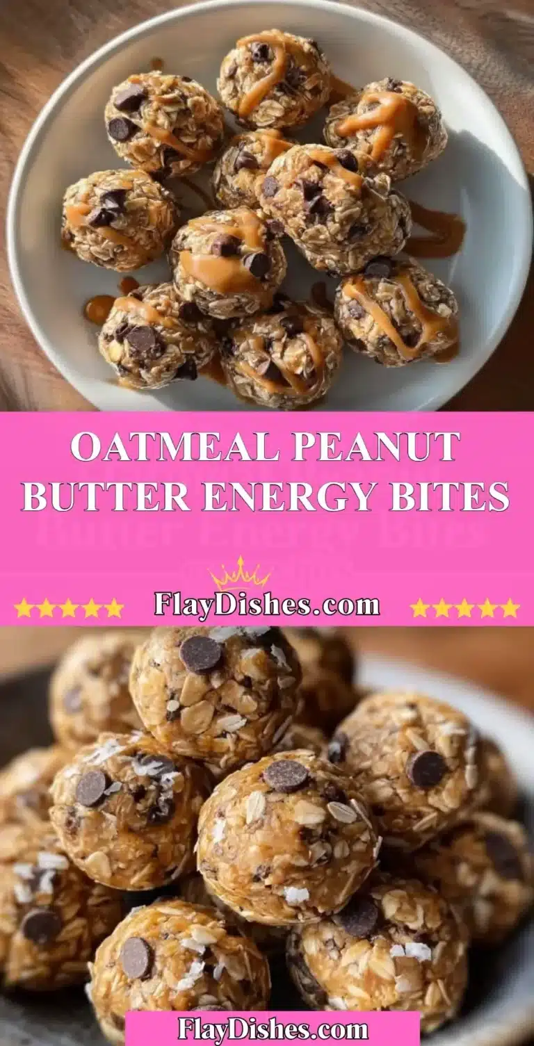 Oatmeal Peanut Butter Energy Bites 9 Healthy oatmeal peanut butter energy bites recipe for a nutritious snack