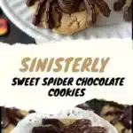 Spider Chocolate Cookies 3 spider chocolate cookies 2025 10 30 185150 150x150 1