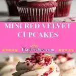 Mini Red Velvet Cupcakes 3 mini red velvet cupcakes 2025 11 15 230718 150x150 1