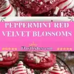 peppermint red velvet blossoms 2025 11 27 223023 150x150 1