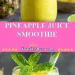 Pineapple Juice Smoothie 3 pineapple juice smoothie 2025 11 15 230823 150x150 1
