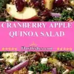 cranberry apple quinoa salad 2025 12 24 232302 150x150 1