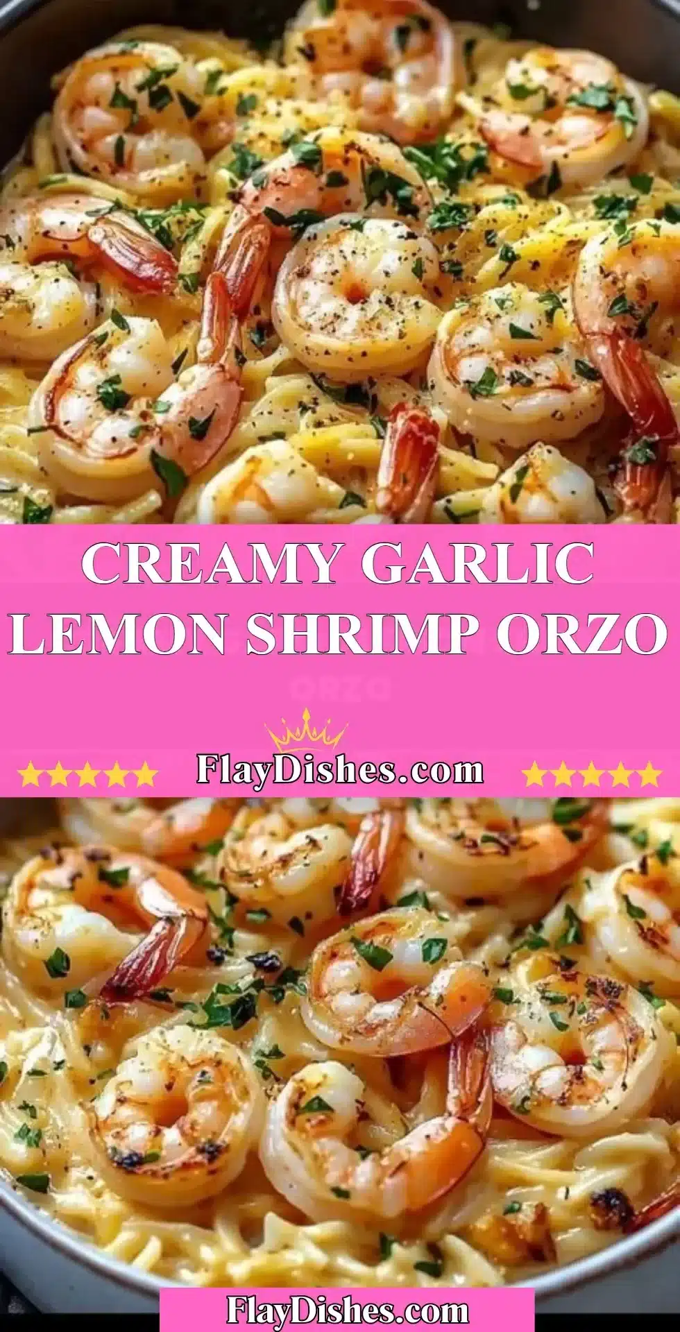Creamy garlic lemon shrimp orzo dish served with fresh herbs.