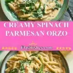 creamy spinach parmesan orzo 2025 12 06 225710 150x150 1