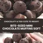 bite sized mini chocolate muffins too cute to res 2026 01 28 022711 512x1024 1