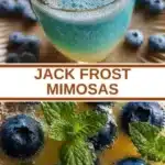jack frost mimosas 2026 01 28 022752 512x1024 1