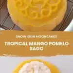 mango pomelo sago snow skin mooncakes 2026 01 28 022710 512x1024 1