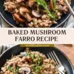 baked mushroom farro with thyme 2026 03 06 225657 512x1024 1