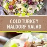 cold turkey waldorf salad 2026 03 06 225650 512x1024 1