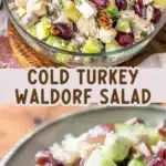 cold turkey waldorf salad 2026 03 06 225653 512x1024 1